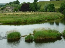 Photo A2 Fletcher Brow