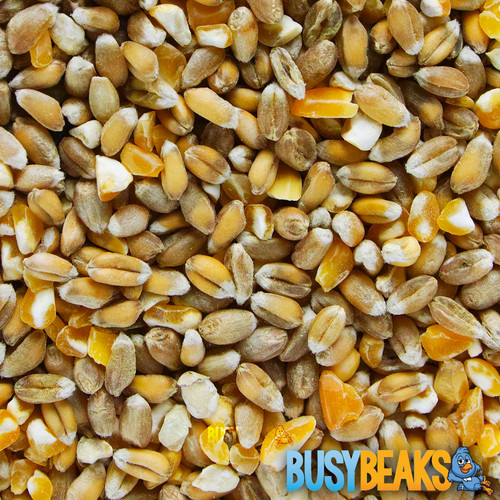 Busybeaks mixed poultry corn - poultry,