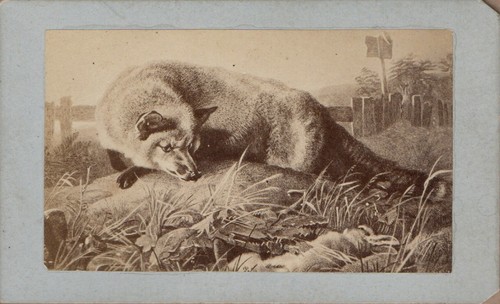 Cdv victorian engraving from - victorian,