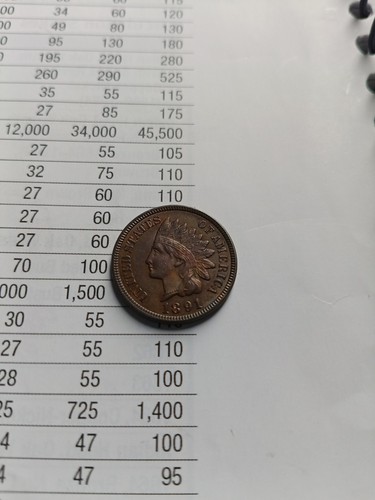 1891 indian head cent - head,
