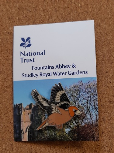 National trust fountains abbey - fountains,