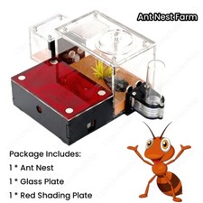 Ant farm castle house with - ant,