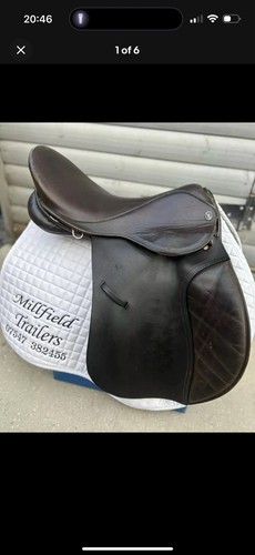 Wide english gfs - gfs, saddle