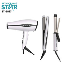 3-in-1 Hair Dryer & Hair