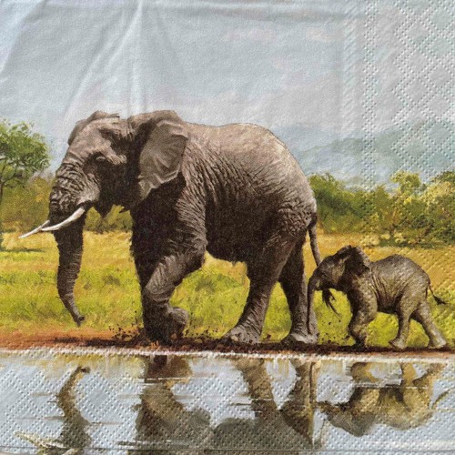 Luncheon paper napkins - x,