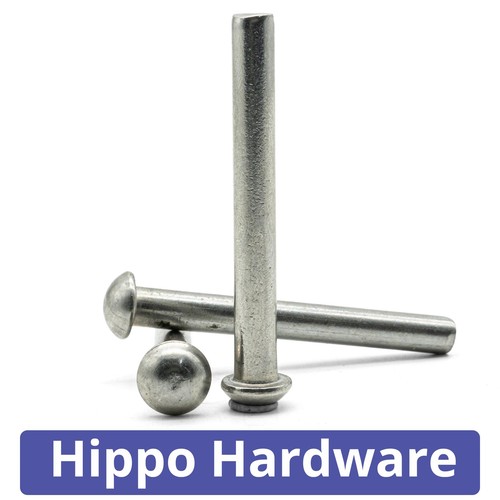 Solid rivets round dome - solid, head