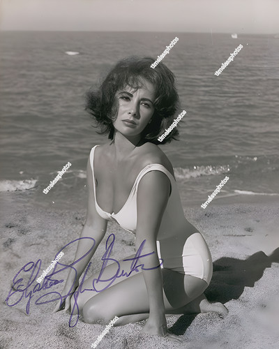 Elizabeth taylor reprint - elizabeth,