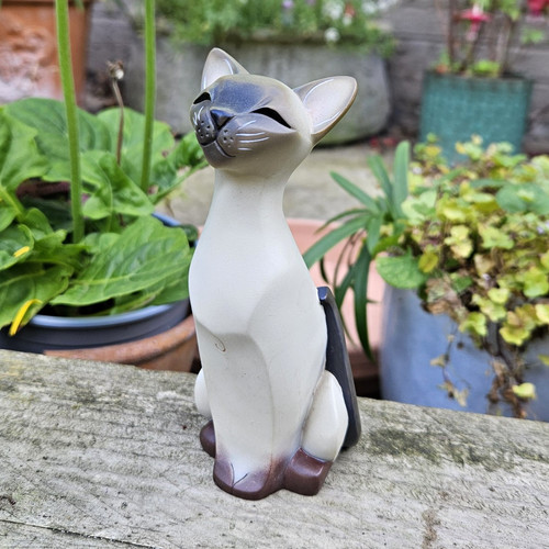 Siamese cat pedigree pals - pedigree,