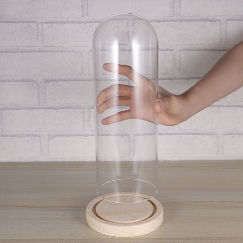 Glass dome cloche - glass, with