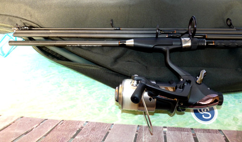 Ngt dynamic 4pc carbon - ngt, ft