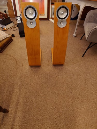 Celestion avf302 wood speakers - wood,