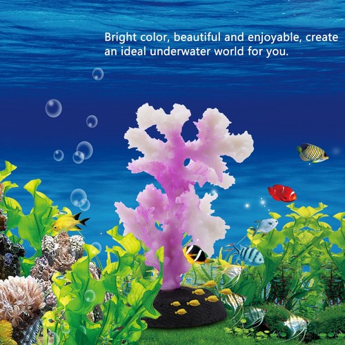 Luminous coral anemone - coral,