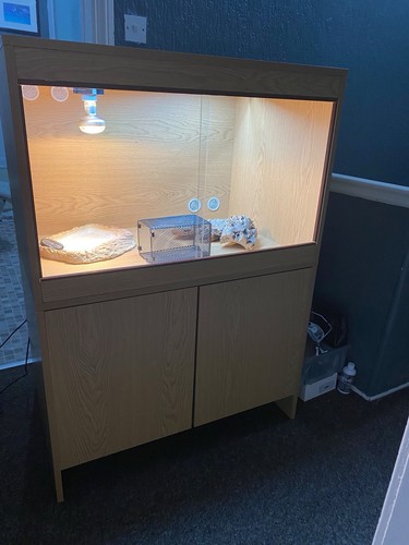 Vivarium and cabinet - vivarium,
