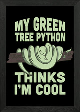 Green tree python snake Framed