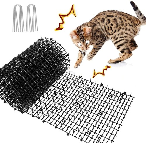 Cat scat mat spike - cat,