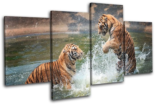 Tigers playing animals multi - animals,