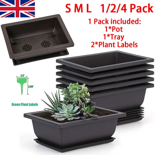 Plastic bonsai training - plastic,