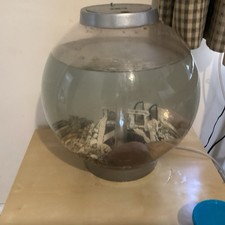 Bio Orb Fish Tank With Fish And Every Thing In It And Pump Etc