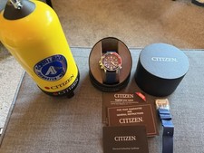 Citizen Men's Aqualand
