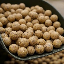 Cream Seed  16mm 5KG - Boilies