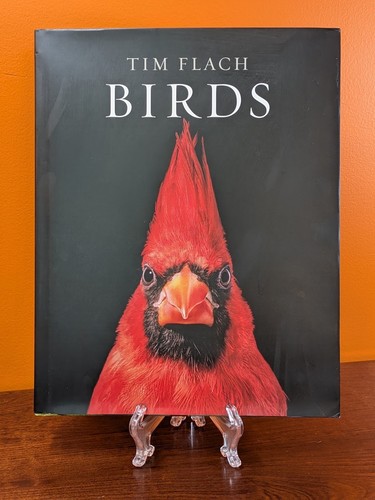 Tim flach birds 2021 - birds,