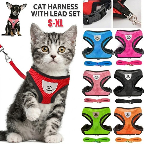 Adjustable cat harness and - cat,