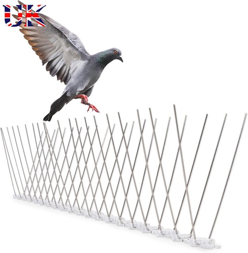 Bird spikes for pigeons - for,