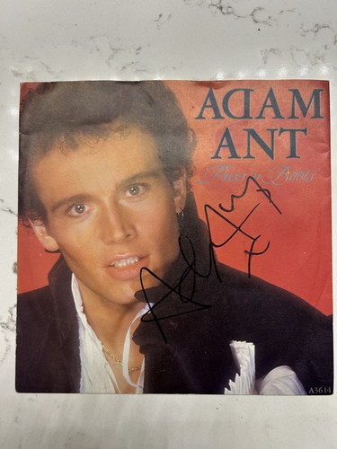 Signed adam ant puss - ant, n