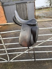 17” MW Jaguar XKC Harry