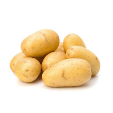 Elveden Fresh British Potatoes | 1x25kg | Free Delivery