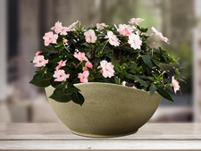 Unique Planter Bowl w/Drain Plug UV Resistant Shallow In &Outdoor Plant Pot 12In