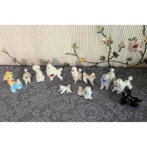 Vintage miniature poodle - miniature,