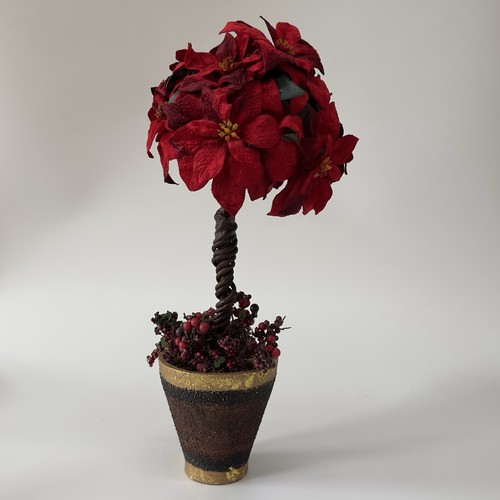 Miniature poinsettias xmas - miniature,