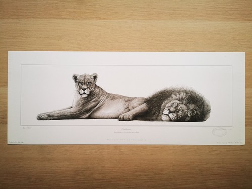 Gary hodges limited edition - ,