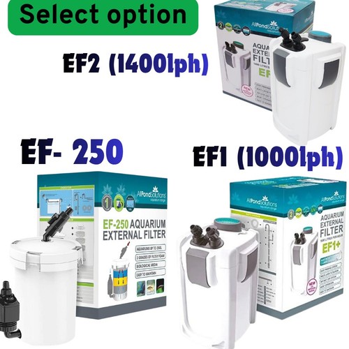 Aquarium fish tank external - fish,
