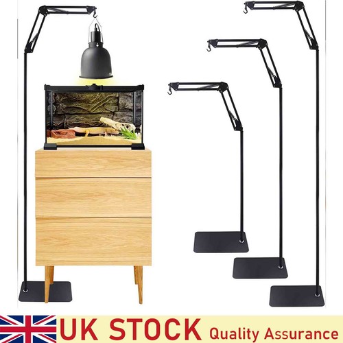 Reptile heat lamp - heat,