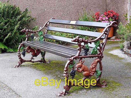 Photo 6x4 squirrel - photo, bench