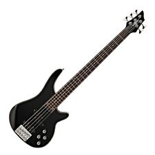 Chicago 5 String Bass Guitar