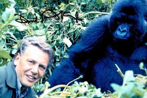Sir david attenborough signed - david,