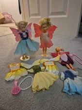 1980s Vintage Flower Fairy Dolls and Accessories Bundle