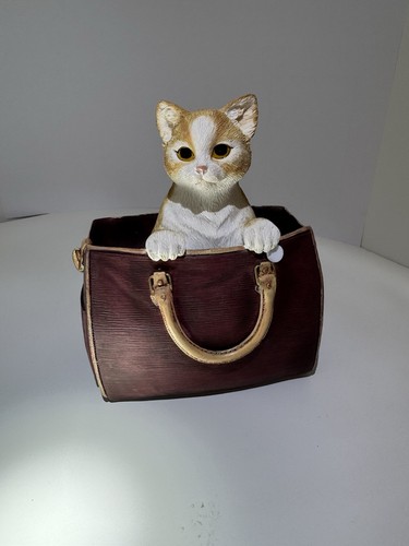 Leonardo collection cat - leonardo,