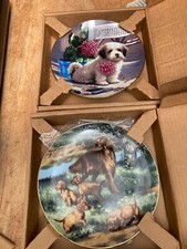 Collectors Plate Boxed Dogs