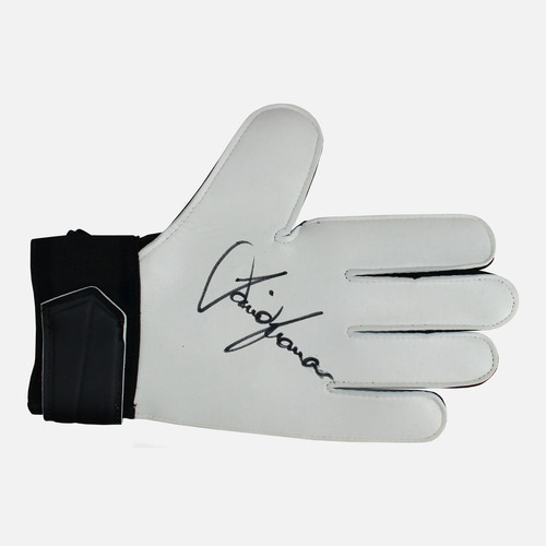 David seaman signed - david,