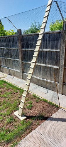 Catio access ladders - catio,