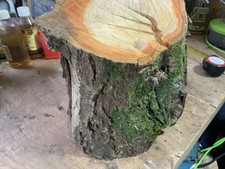 Large Cherry Bowl Blank Wood