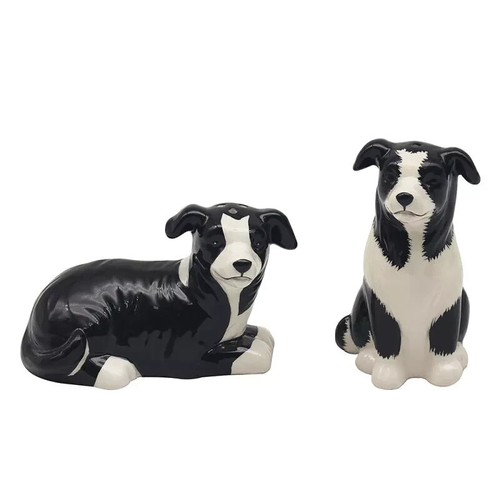 Salt pepper set - salt, border