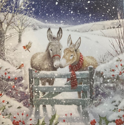 Charity christmas card - christmas,