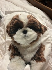 Shih Tzu Dog Themed Kitchen Or