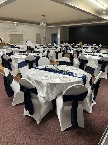 Blue chair sashes - blue,