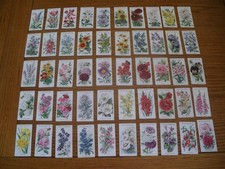 Set of WILLS OLD ENGLISH